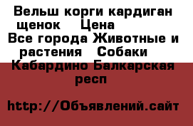 Вельш корги кардиган щенок  › Цена ­ 35 000 - Все города Животные и растения » Собаки   . Кабардино-Балкарская респ.